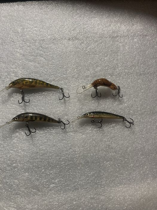 Woblery Morel Team, W . Grochola