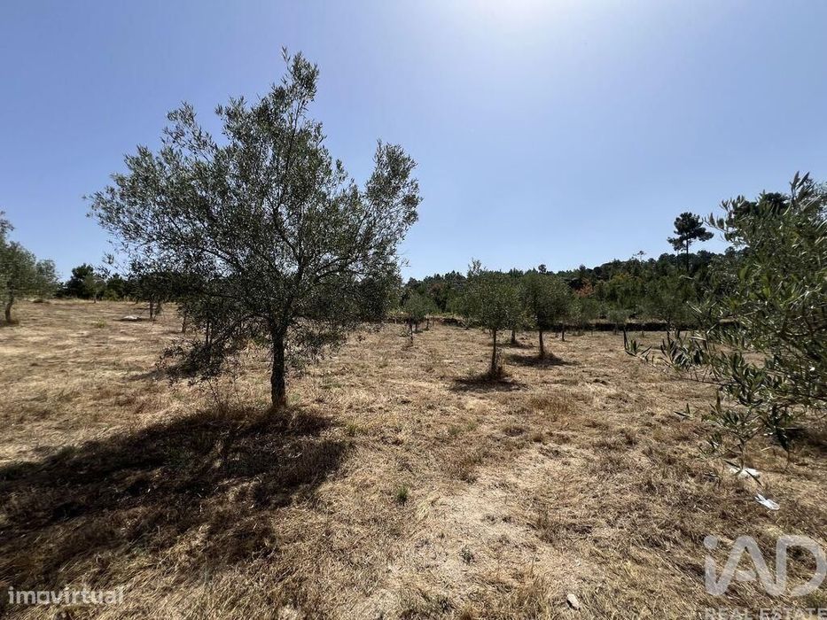Terreno em Sernancelhe e Sarzeda de 44527,00 m2