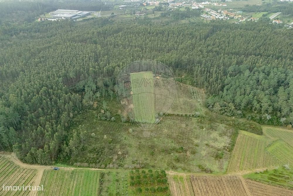 Terreno  para venda — Mealhada, Ventosa Do Bairro E Antes, Aveiro