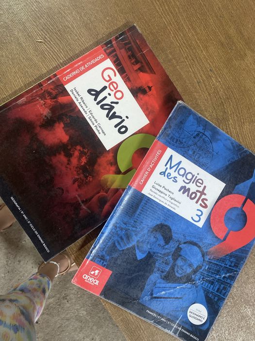 Cadernos de atividades 9.º ano