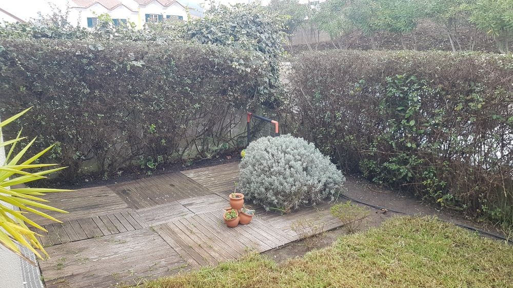 Jardinagem e limpeza de terrenos