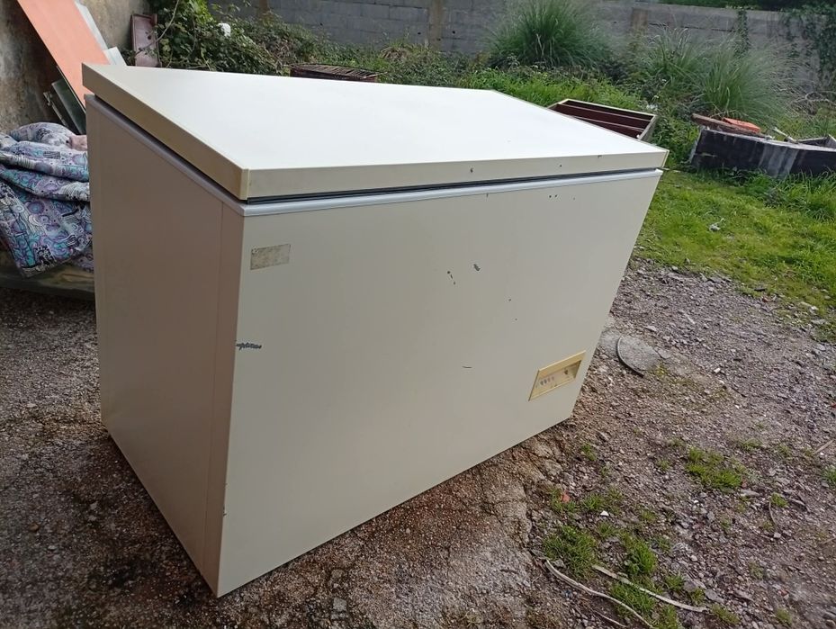 Arca congeladora grande