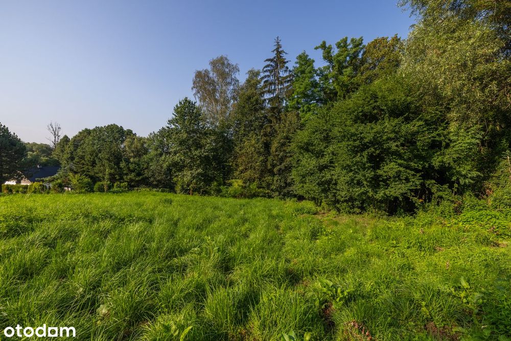 Dom – Piotrowice - Więcej