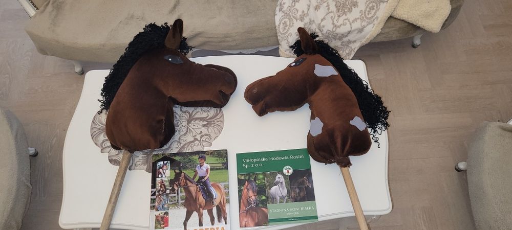 Dwa brązowe koniki hobby horse + dwie książki o koniach. Encyklopedia