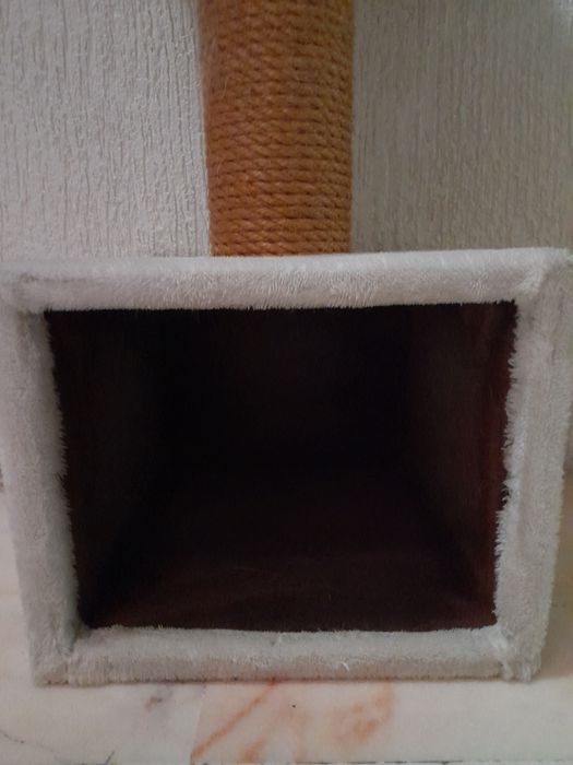 Arranhador, com estrutura forte