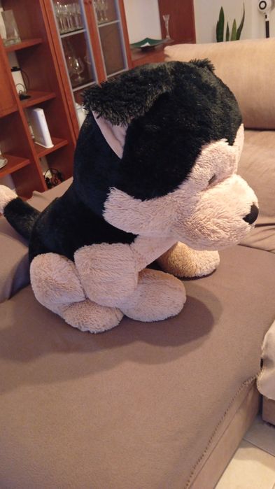 Cão peluche grande