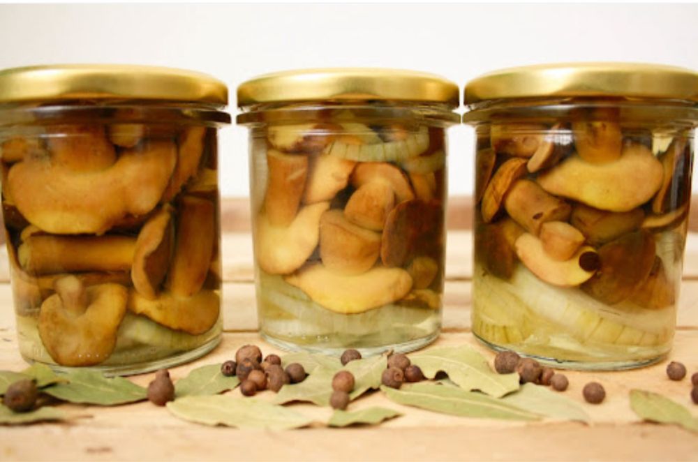 Borowiki w zalewie octowej