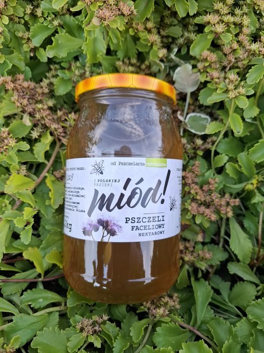 Miód faceliowy 1,2 kg