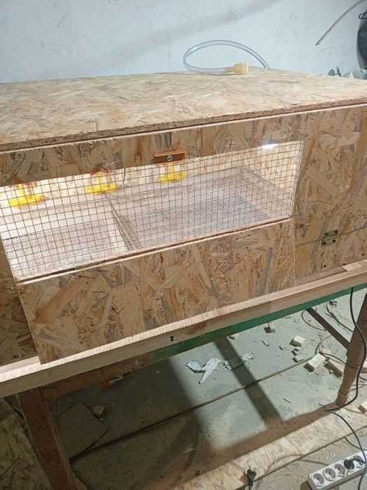 Брудер для курчат