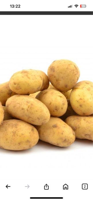 Ziemniaki jadalne wineta ,denar