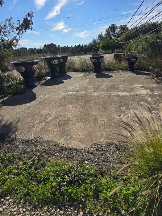 Vasos Chineses oportunidade