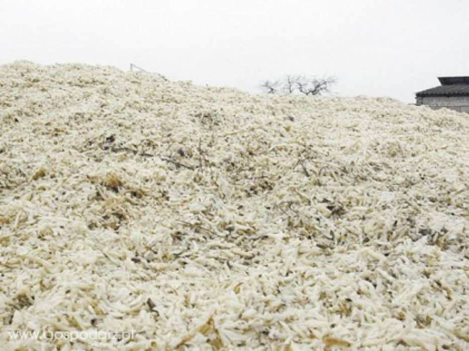 Sprzedam wysłodki buraczane mokre