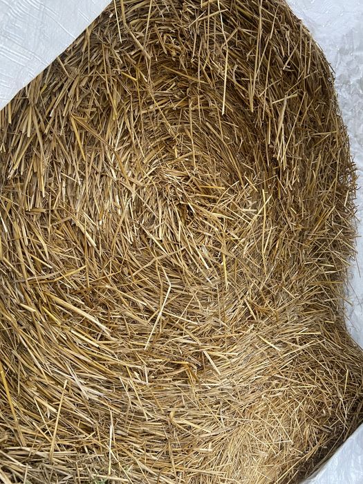 Słoma bal 120 cm