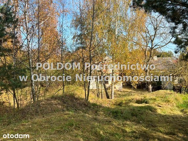 Działka budowlana 5747 m²/ Wilczyn k. Obornik Śl - Widok 2