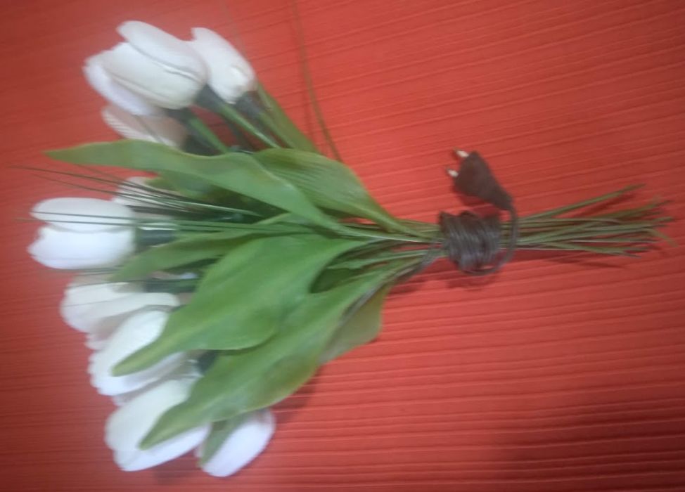 Tulipas brancas electrificadas