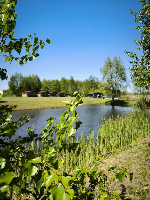 Domek , domki nad jeziorem Serbinówka.