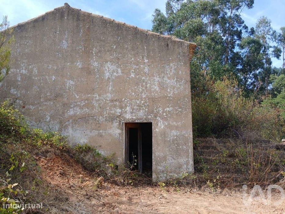 Quinta rural T1 em Sabóia de 80 m2