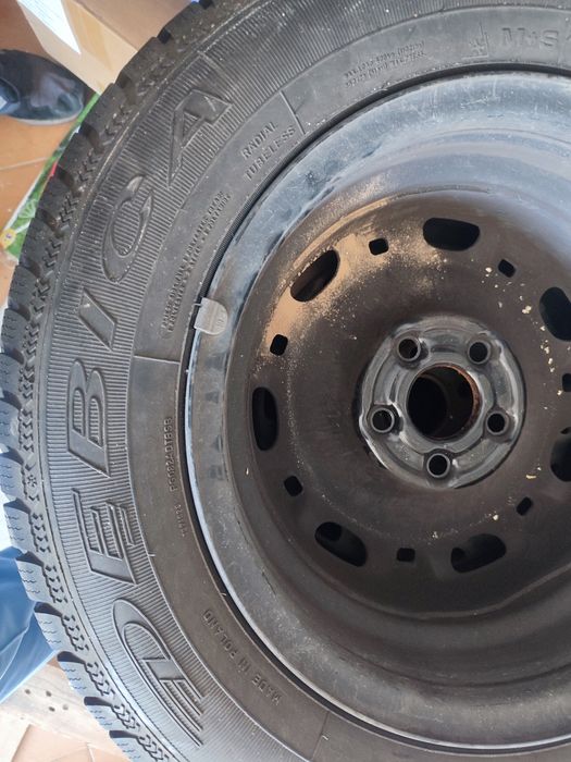 opony Dębica Frigo 175/70R14