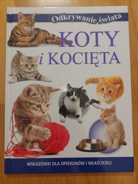 Koty i kocięta album