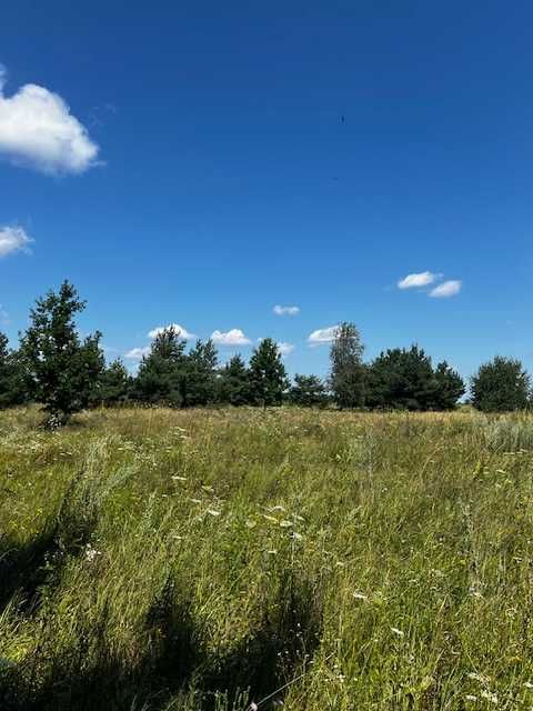 Продаються ділянки  біля села Озера Бучанського району.