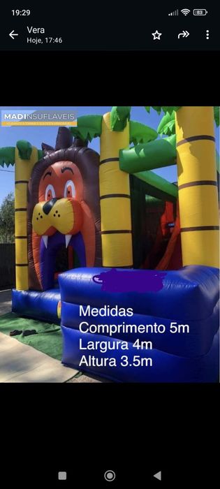 Insufláveis para alugar