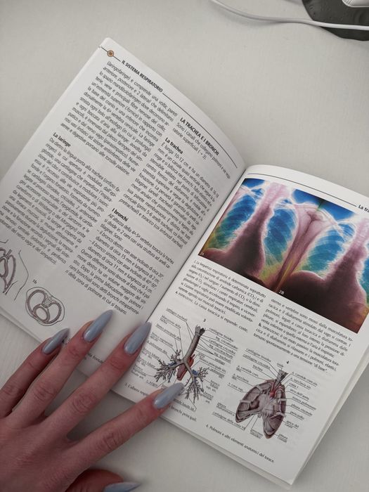 Книга з анатомії італійською мовою / Anatomia  Adriana Rigutti
