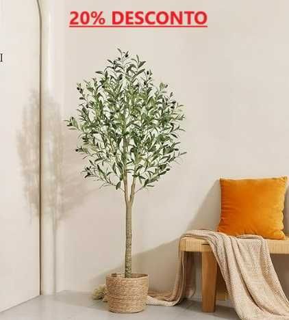 Vende-se todo o tipo de OLIVEIRAS de Qualidade PREMIUM