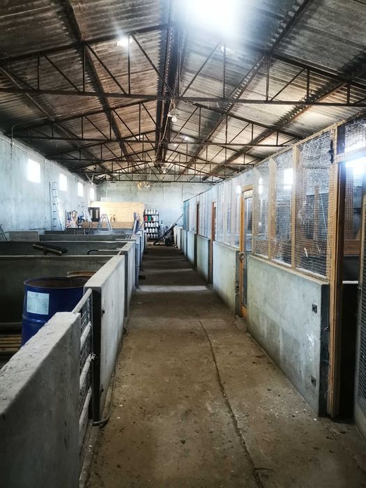 Armazém com 419 m² e Terreno de 2.856 m² | Donai, Lagomar– Bragança