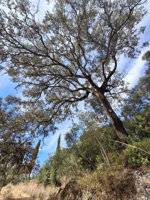 TERRENO COM Projeto de Construção Aprovado