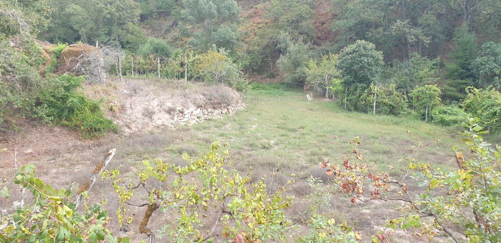 Quintinha em Amarante