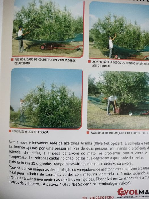 Apanhador de Azeitonas ou frutos Secos
