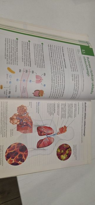 Biologia na czasie 2 Nowa Era