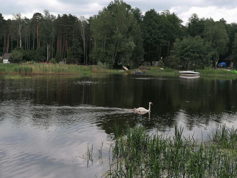 Domek Milena w Turawie z linią brzegową