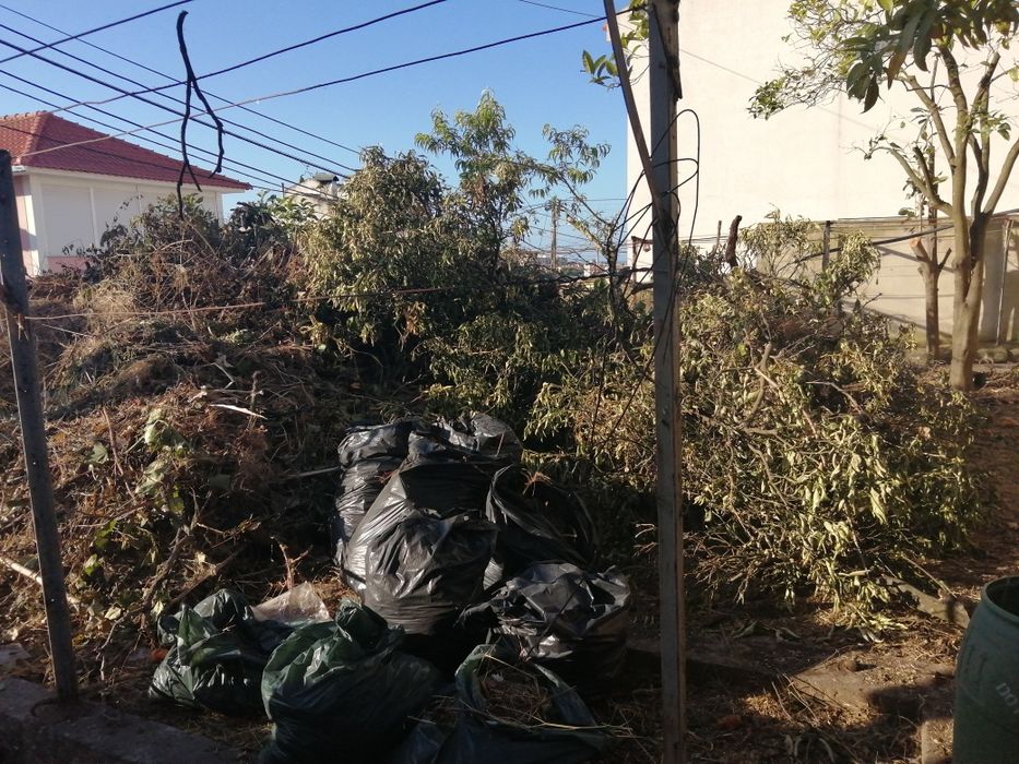 Limpeza de terrenos ou quintal