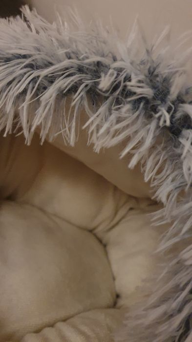 Sprzedam kojec, siedziesko, budkę - okazja!