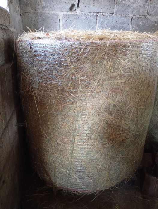 Sprzedam siano w dużych belkach