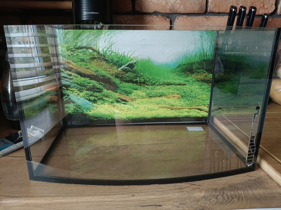 Akwarium małe na rybki