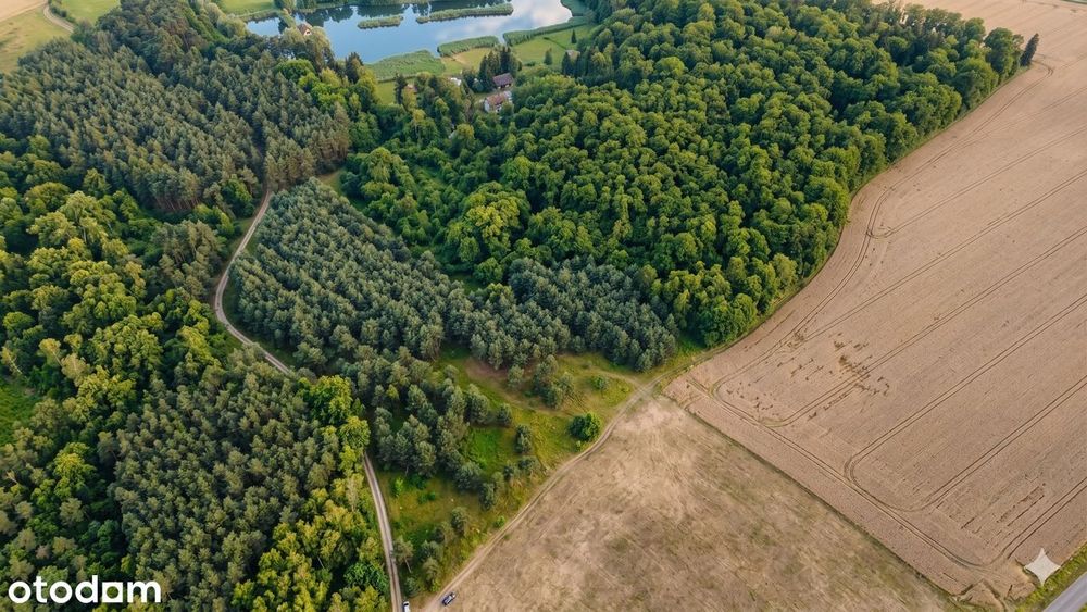 Działki rekreacyjne w lesie, na weekendowy odpoczynek-Dolnośląskie!