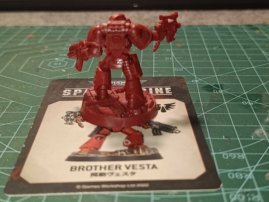 Brother Vesta Space Marine