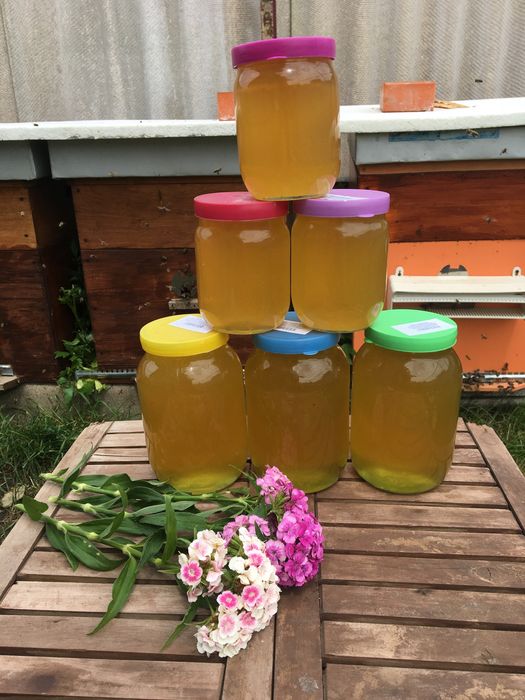 Домашний  натуральний мед !!!