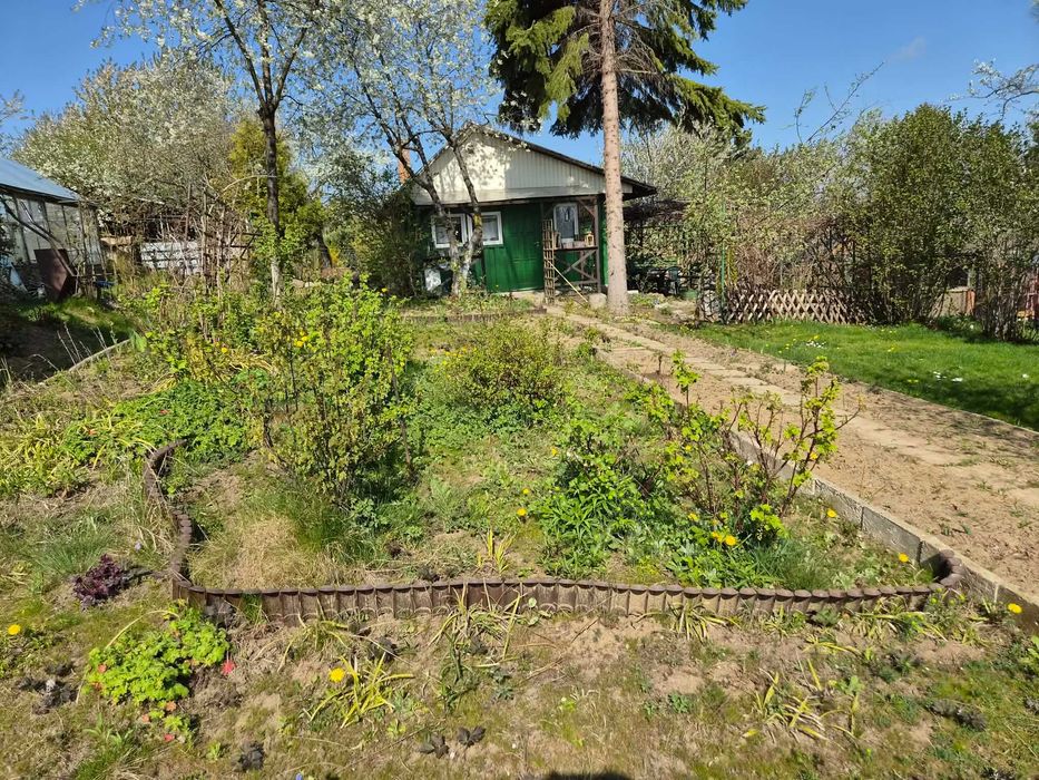 Działka ROD SAMI SWOI DYS - domek, prąd, woda