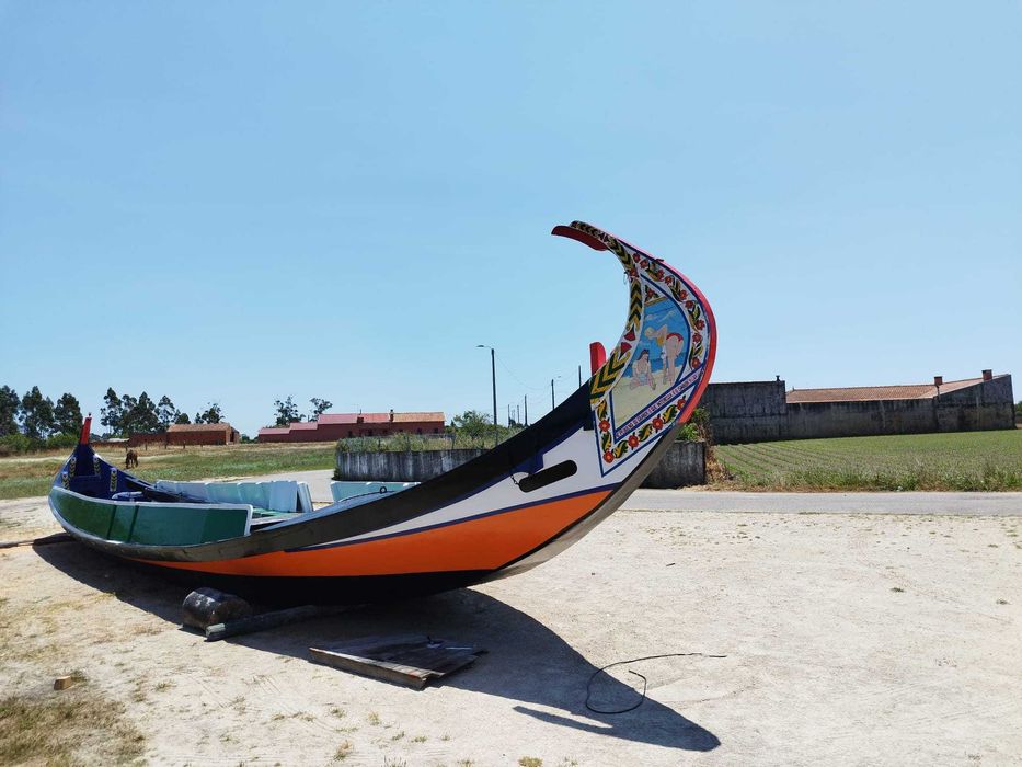 Embarcação Típica - Moliceiro