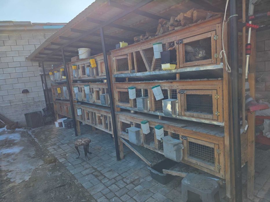 Клітки для кролів