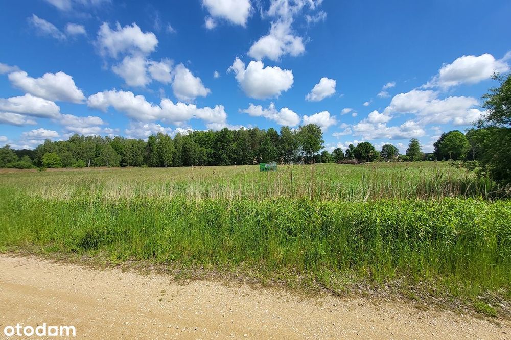 Działka budowlana Ożarowice | 2014 m² | MPZP | Przy lesie, pod dom - Widok 5