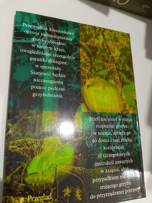 Najsmaczniejsze grzyby jadalne