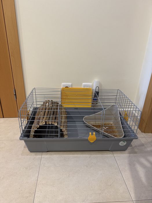 Gaiola coelho e outros roedores