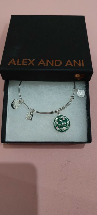 Pulseira Prata Alex and Ani