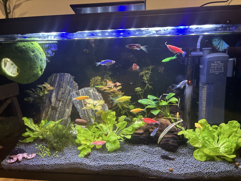 Акваріум Resun WPG 40 для GloFish 37.8 л