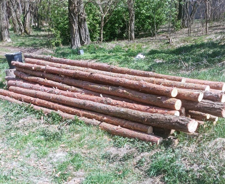 Stemple sosnowe 3,5m
