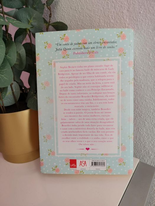 Livro Amor e Enganos